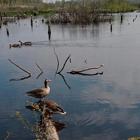 Sloneczna Przystan アパート *