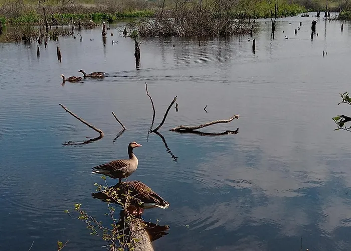 Sloneczna Przystan Apartamento *