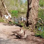 Słoneczna Przystań Kołobrzeg