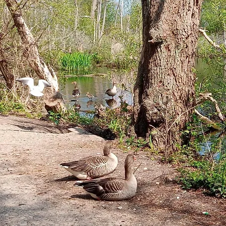 Sloneczna Przystan Kołobrzeg