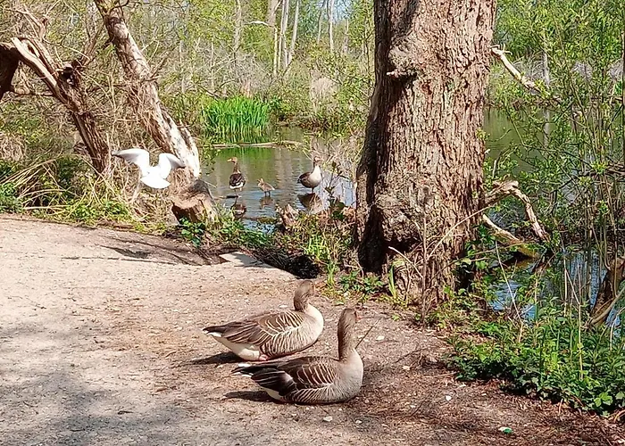 Sloneczna Przystan Kołobrzeg